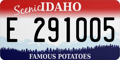 ID license plate E291005