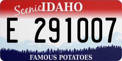 ID license plate E291007
