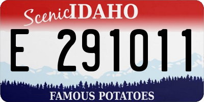 ID license plate E291011