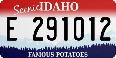 ID license plate E291012