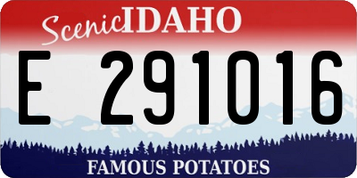 ID license plate E291016