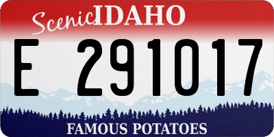 ID license plate E291017