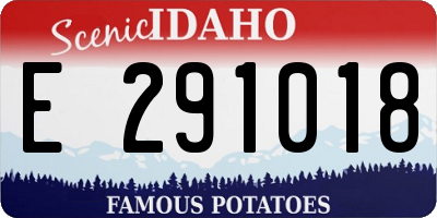 ID license plate E291018