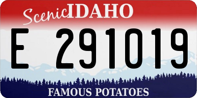 ID license plate E291019