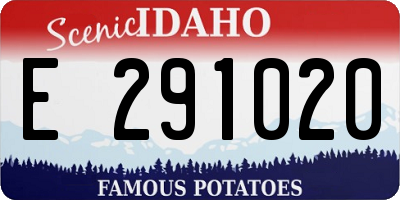 ID license plate E291020