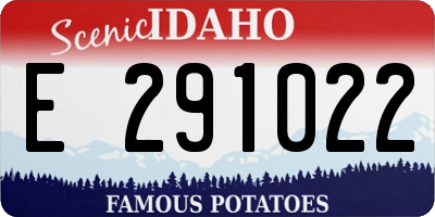 ID license plate E291022