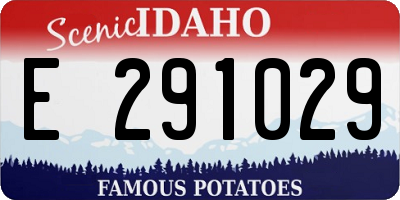 ID license plate E291029