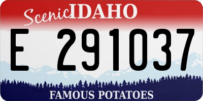ID license plate E291037