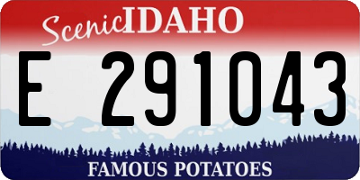 ID license plate E291043