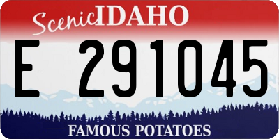 ID license plate E291045
