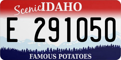 ID license plate E291050
