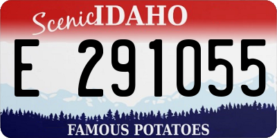 ID license plate E291055