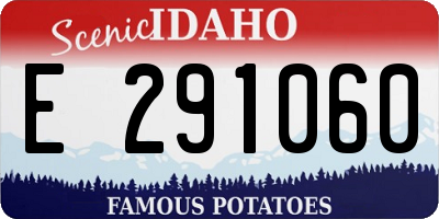 ID license plate E291060