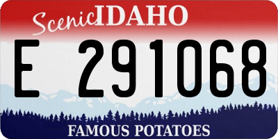 ID license plate E291068