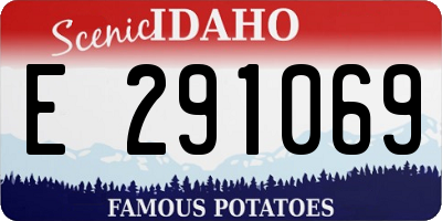 ID license plate E291069