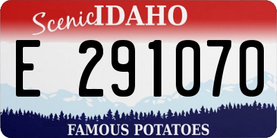 ID license plate E291070