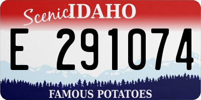 ID license plate E291074