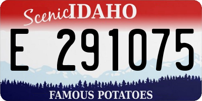 ID license plate E291075