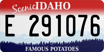 ID license plate E291076