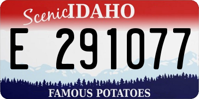 ID license plate E291077
