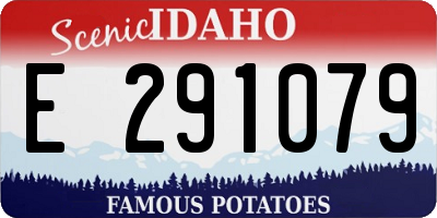 ID license plate E291079