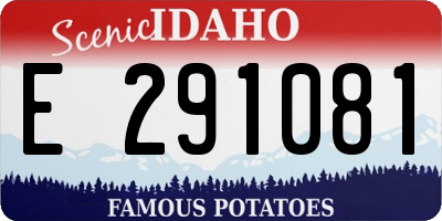 ID license plate E291081