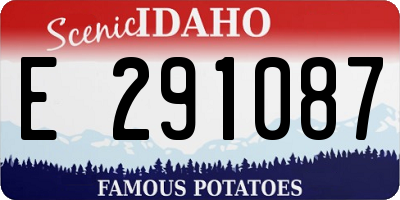 ID license plate E291087