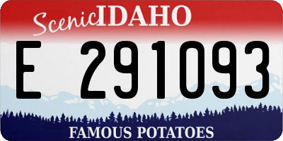 ID license plate E291093