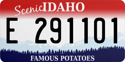 ID license plate E291101