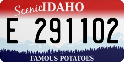 ID license plate E291102