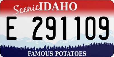 ID license plate E291109