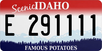 ID license plate E291111