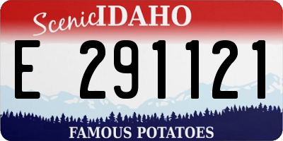 ID license plate E291121