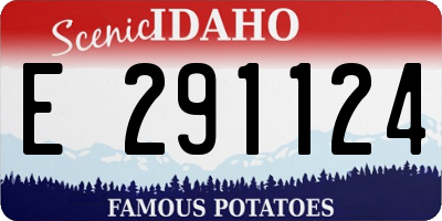 ID license plate E291124