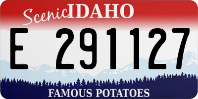 ID license plate E291127