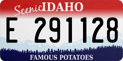 ID license plate E291128