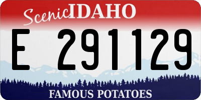 ID license plate E291129