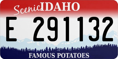 ID license plate E291132