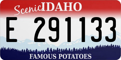 ID license plate E291133