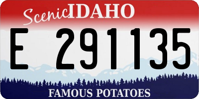 ID license plate E291135
