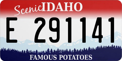 ID license plate E291141