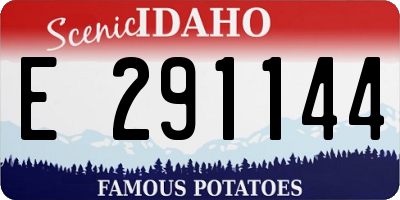 ID license plate E291144