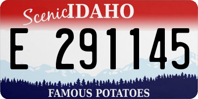 ID license plate E291145