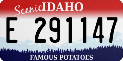ID license plate E291147