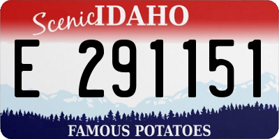 ID license plate E291151