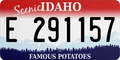 ID license plate E291157