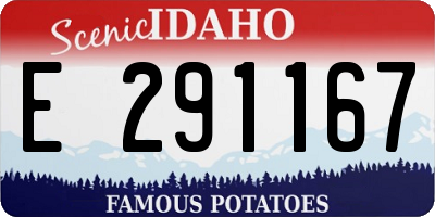 ID license plate E291167