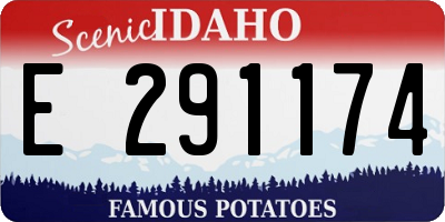 ID license plate E291174