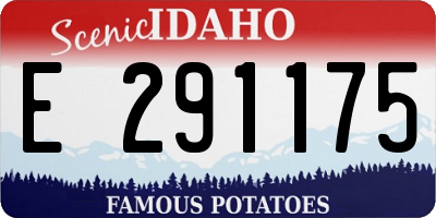 ID license plate E291175