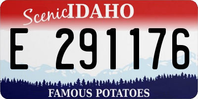 ID license plate E291176